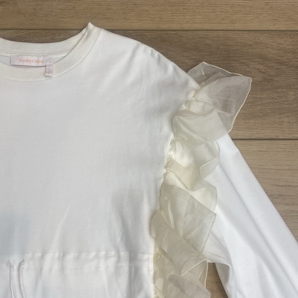 See by Chloe | Chiffon Ruffle | Mini Shirt Dress - Picture 5 of 16